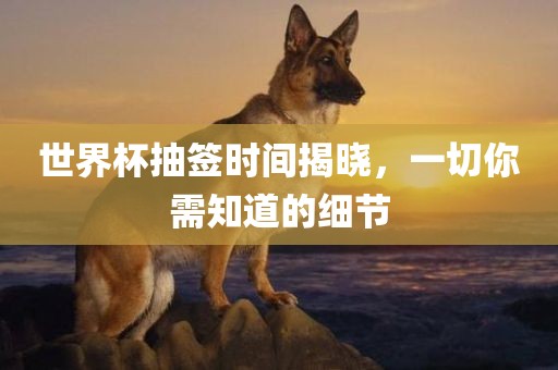 世界杯抽签时间揭晓，一切你需知道的细节