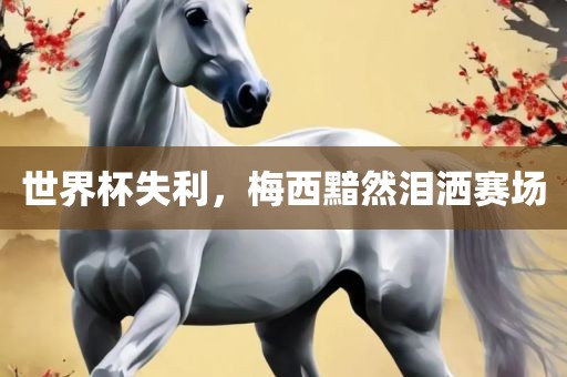 世界杯失利，梅西黯然泪洒赛场