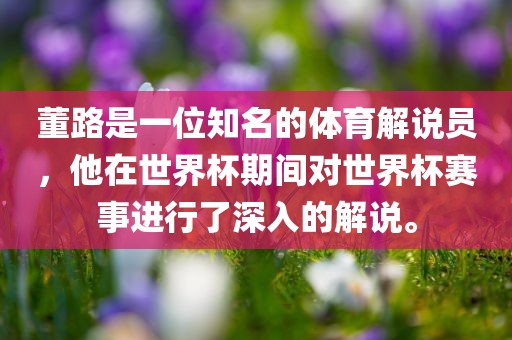董路是一位知名的体育解说员，他在世界杯期间对世界杯赛事进行了深入的解说。