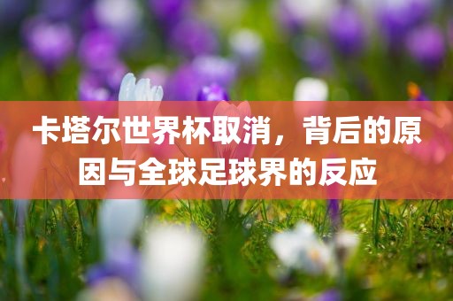 卡塔尔世界杯取消，背后的原因与全球足球界的反应