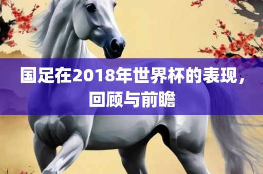 国足在2018年世界杯的表现，回顾与前瞻
