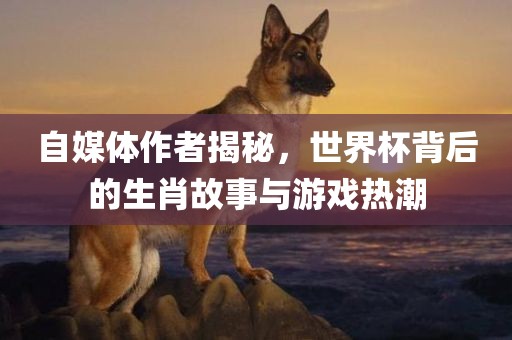 自媒体作者揭秘，世界杯背后的生肖故事与游戏热潮