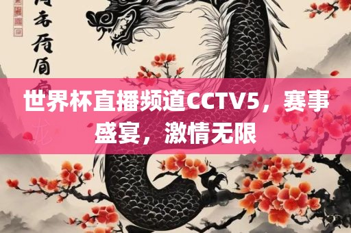 世界杯直播频道CCTV5，赛事盛宴，激情无限