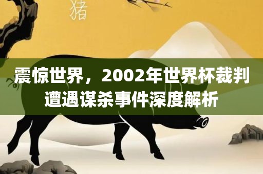 震惊世界，2002年世界杯裁判遭遇谋杀事件深度解析