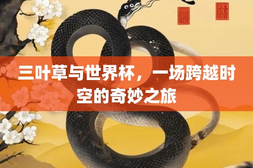 三叶草与世界杯，一场跨越时空的奇妙之旅