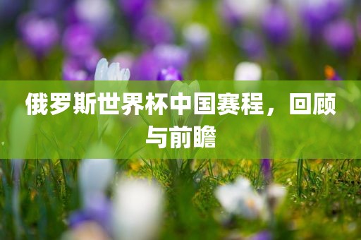 俄罗斯世界杯中国赛程，回顾与前瞻