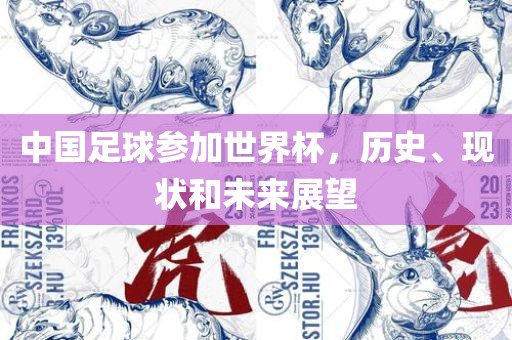 中国足球参加世界杯，历史、现状和未来展望