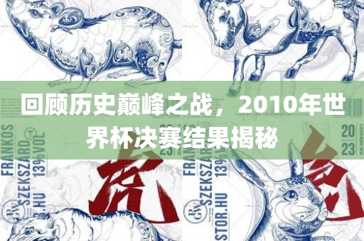 回顾历史巅峰之战，2010年世界杯决赛结果揭秘