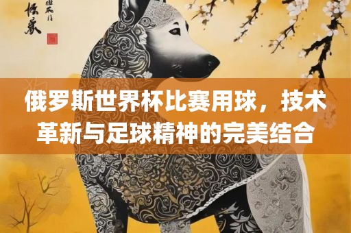 俄罗斯世界杯比赛用球，技术革新与足球精神的完美结合