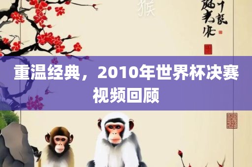 重温经典，2010年世界杯决赛视频回顾