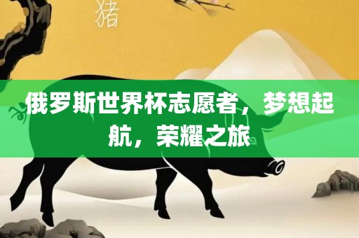 俄罗斯世界杯志愿者，梦想起航，荣耀之旅