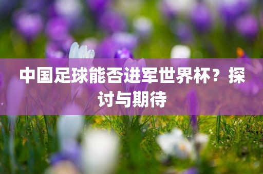 中国足球能否进军世界杯？探讨与期待