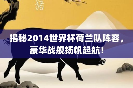 揭秘2014世界杯荷兰队阵容，豪华战舰扬帆起航！