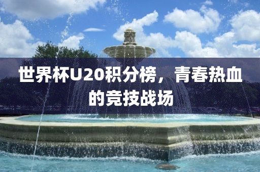 世界眉山市正发家政服务有限公司杯U20积分榜，青春热血的竞技战场