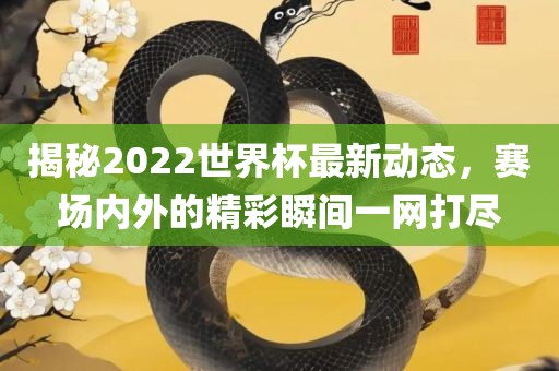 揭秘2022世界杯最新动态，赛场内外的精彩瞬间一网打尽