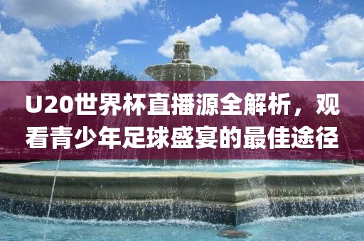 U20世界杯直播源全解析，观看青少年足球盛宴的最佳途径