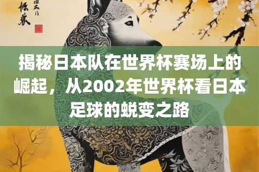揭秘日本队在世界杯赛场上的崛起，从2002年世界杯看日本足球的蜕变之路