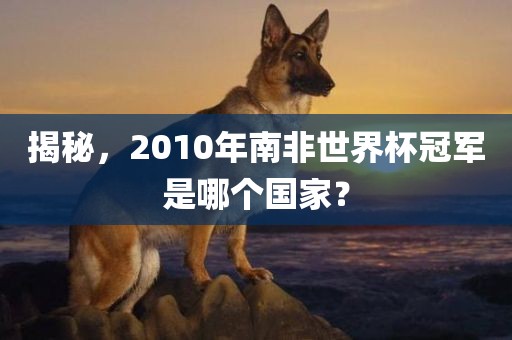 揭秘，2010年南非世界杯冠军是哪个国家？