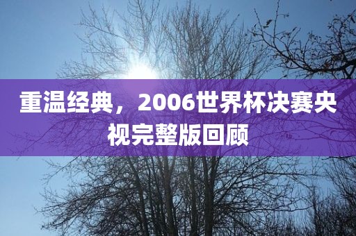 重温经典，2006世界杯决赛央视完整版回顾