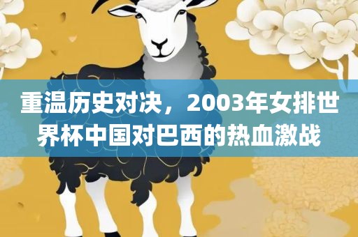 重温历史对决，2003年女排世界杯中国对巴西的热血激战
