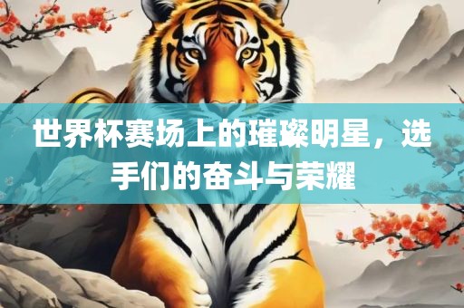 世界杯赛场上的璀璨明星，选手们的奋斗与荣耀
