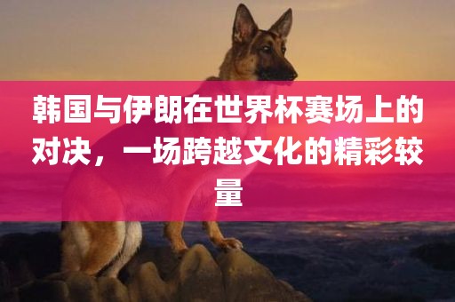 韩国与伊朗在世界杯赛场上的对决，一场跨越文化的精彩较量