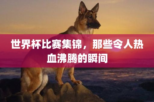 世界杯比赛集锦，那些令人热血沸腾的瞬间