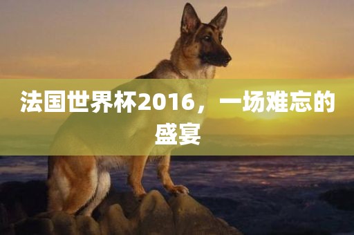 法国世界杯2016，一场难忘的盛宴