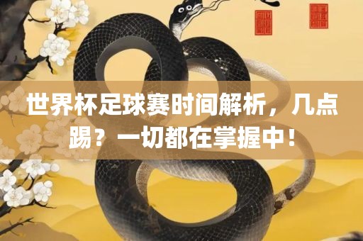 世界杯足球赛时间解析，几点踢？一切都在掌握中！