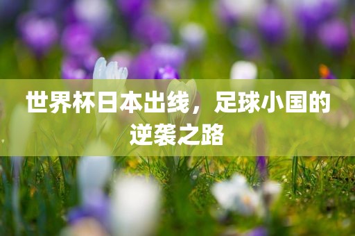 世界杯日本出线，足球小国的逆袭之路