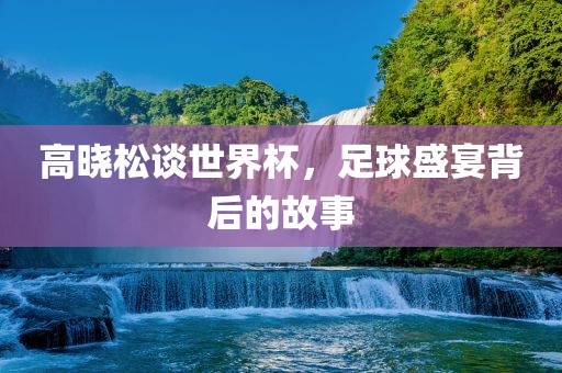 高晓松谈世界杯，足球盛宴背后的故事
