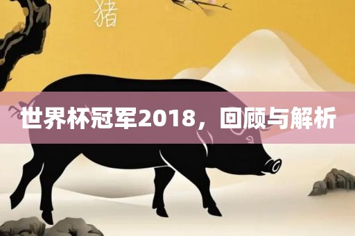 世界杯冠军2018，回顾与解析