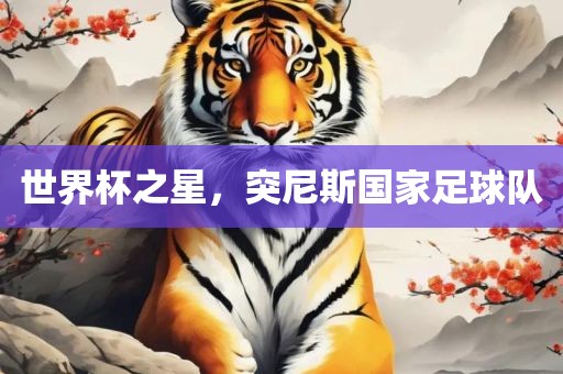 世界杯之星，突尼斯国家足球队
