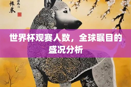 世界杯观赛人数，全球瞩目的盛况分析