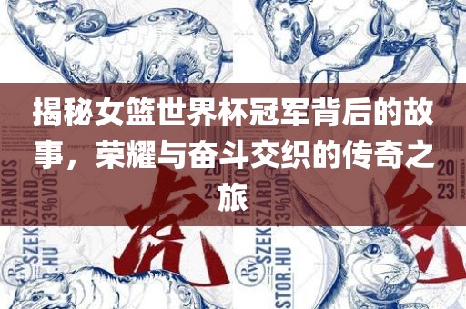 揭秘女篮世界杯冠军背后的故事，荣耀与奋斗交织的传奇之旅