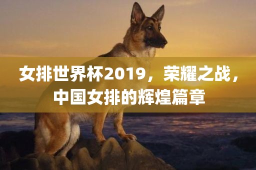 女排世界杯2019，荣耀之战，中国女排的辉煌篇章