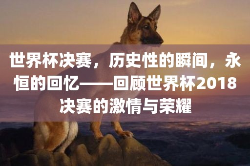 世界杯决赛，历史性的瞬间，永恒的回忆——回顾世界杯2018决赛的激情与荣耀