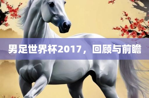 男足世界杯2017，回顾与前瞻