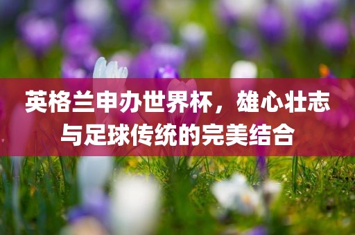 英格兰申办世界杯，雄心壮志与足球传统的完美结合
