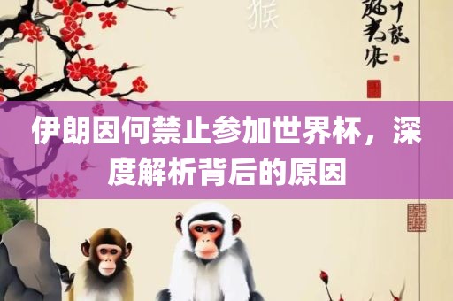 伊朗因何禁止参加世界杯，深度解析背后的原因