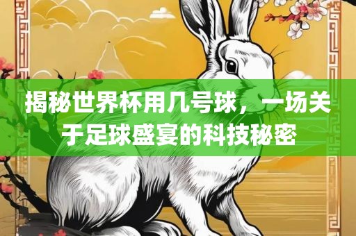 揭秘世界杯用几号球，一场关于足球盛宴的科技秘密