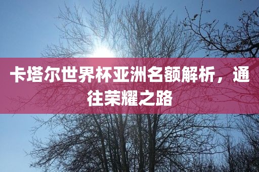 卡塔尔世界杯亚洲名额解析，通往荣耀之路