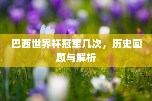 巴西世界杯冠军几次，历史回顾与解析