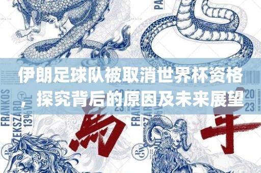 伊朗足球队被取消世界杯资格，探究背后的原因及未来展望