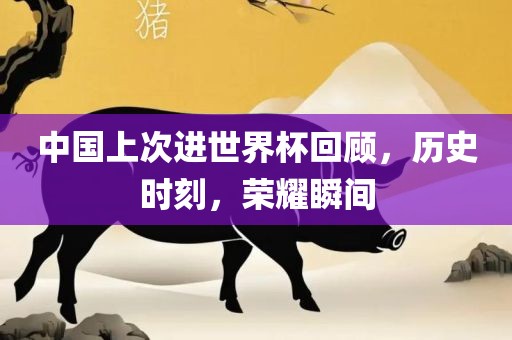 中国上次进世界杯回顾，历史时刻，荣耀瞬间