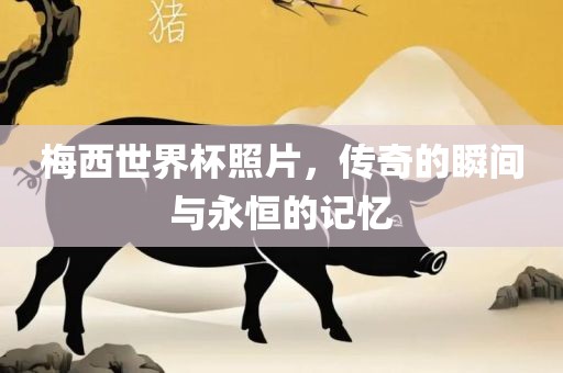 梅西世界杯照片，传奇的瞬间与永恒的记忆
