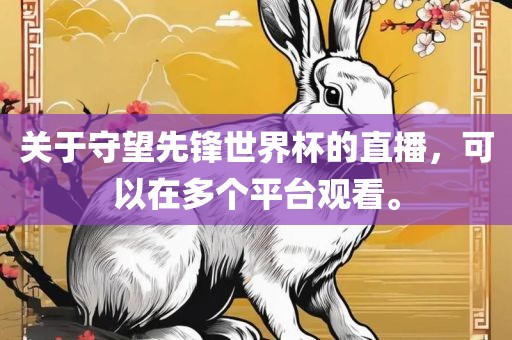 关于守望先锋世界杯的直播，可以在多个平台观看。