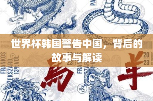 世界杯韩国警告中国，背后的故事与解读