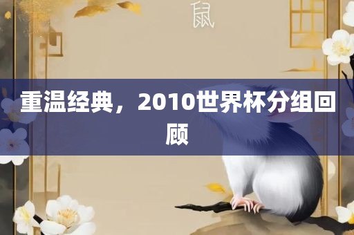 重温经典，2010世界杯分组回顾