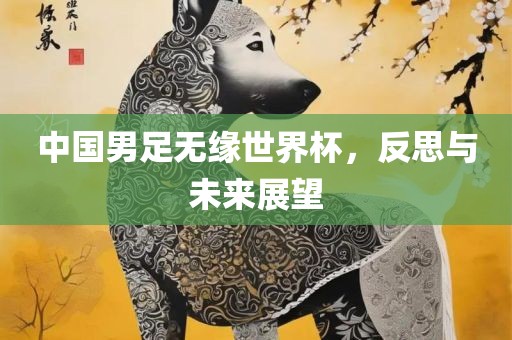 中国男足无缘世界杯，反思与未来展望